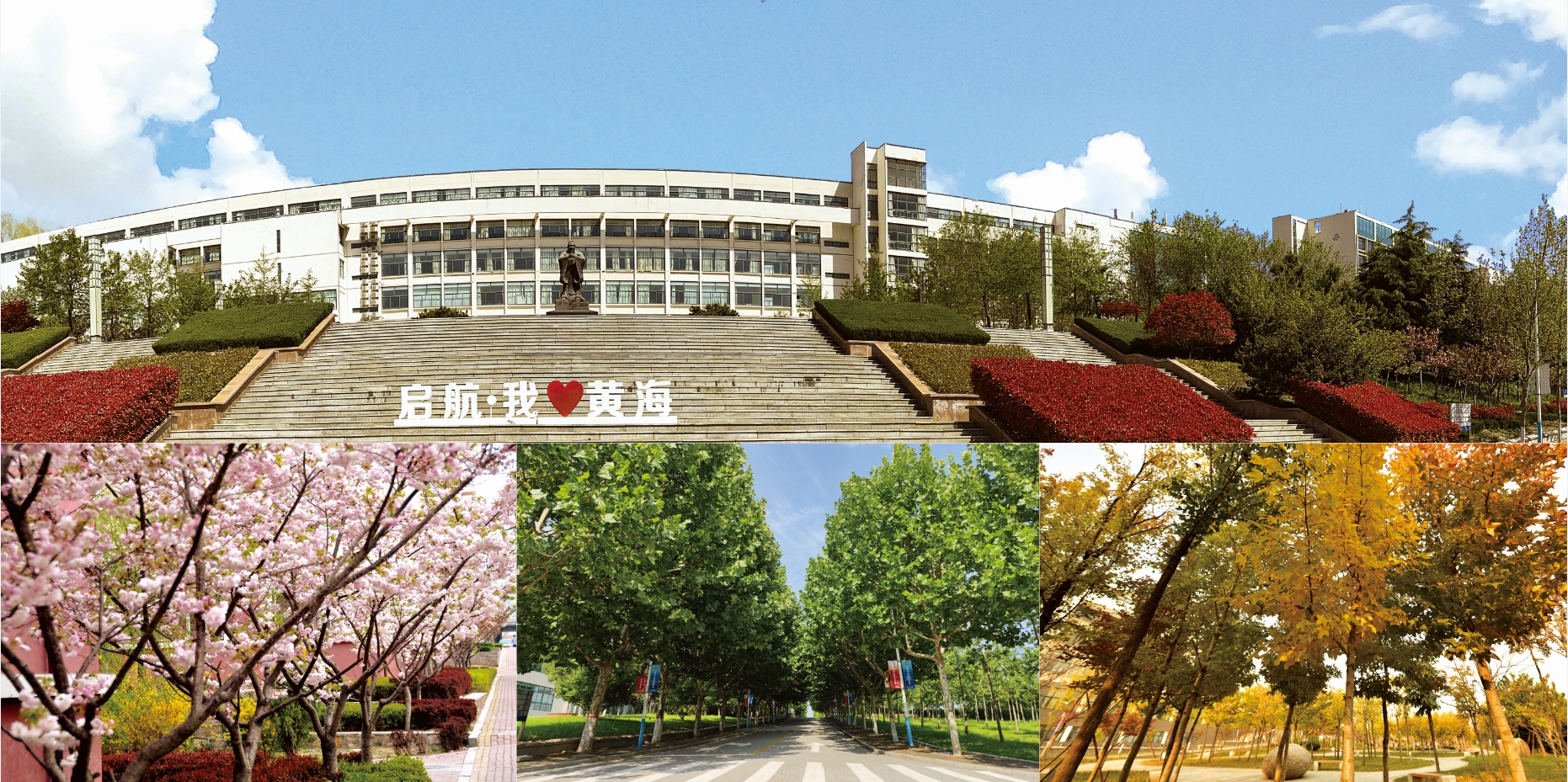 2021年开云kaiyun网页版校庆宣传册
