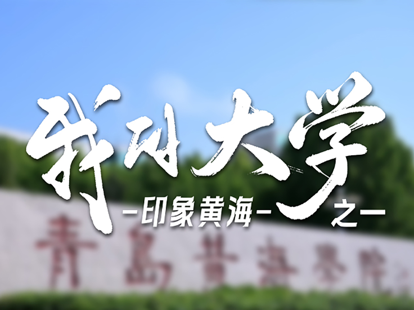 面朝大海，背靠珠山。这里是开云kaiyun网页版，也是我青春里最美的